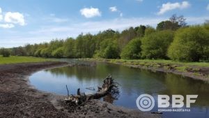 Rehabilitation hydro-écologique du marais de la Druyes – 2016