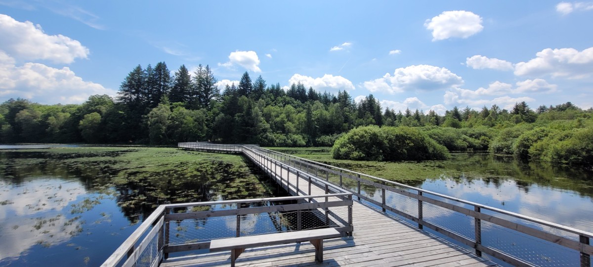 2023 - CC Morvan - Passerelle Chevigny 6 (Personnalisé)