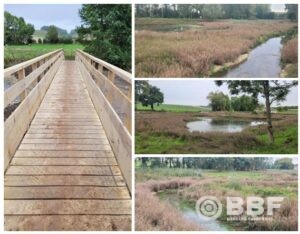 TRAVAUX DE RESTAURATION DE LA CONTINUITÉ ÉCOLOGIQUE SUR L’ÉTANG DE BRAGELOGNE (10) – 2023-2025