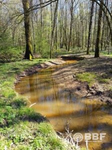 Réhabilitation d’un hydrosystème de tète de bassin versant dans le massif forestier de Rumilly-chaource (10) -2025