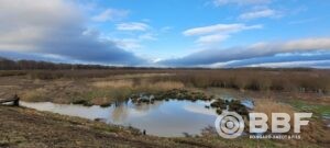 Restauration du barrage de grand rue (vnf) – travaux de défrichement et mesures environnementales (45) – 2024-2025