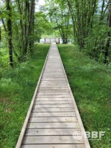 Rénovation d’un sentier sur pilotis à l’étang taureau (58) – 2023